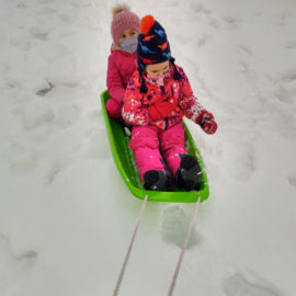 Featured image of article: First Friends Go Sledding!